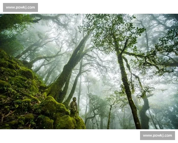 哀牢山自然与人文景观的融合探索与生态保护研究